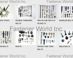 fastener-world(AUTOLINK INTERNATIONAL CO., LTD. )