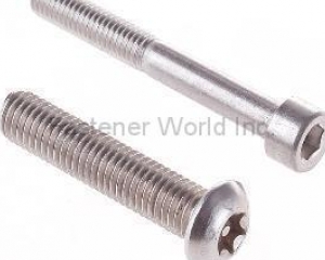 SS Socket Screws(JIAXING GOODWAY HARDWARE)