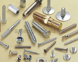 fastener-world(RAY FU ENTERPRISE CO., LTD. )