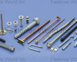 SPECIAL PARTS(FU HUI SCREW INDUSTRY CO., LTD. (FUKUNG  HARDWARE  CO.  LTD.))