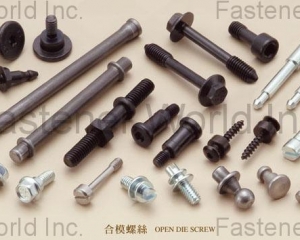 fastener-world_慶展螺絲工業股份有限公司   fastener-world(慶展螺絲工業股份有限公司  )