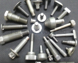 Customization(CELEBRITE FASTENERS CO., LTD.)