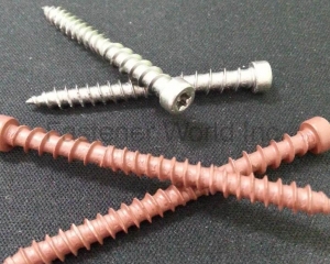 fastener-world(CELEBRITE FASTENERS CO., LTD. )