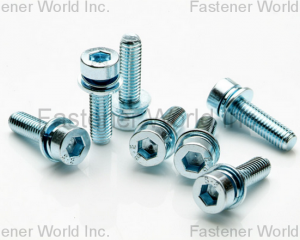 fastener-world(HO HONG SCREWS CO., LTD.  )