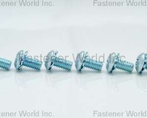 fastener-world(HO HONG SCREWS CO., LTD.  )