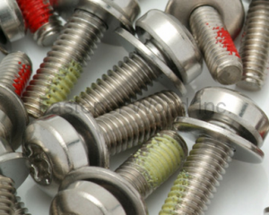 fastener-world(HO HONG SCREWS CO., LTD.  )