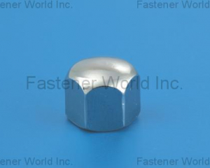 Hex, Cap Nuts(L & W FASTENERS COMPANY)