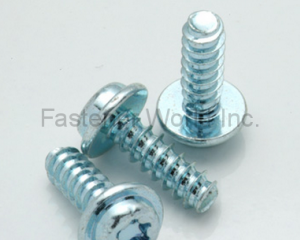 fastener-world(HO HONG SCREWS CO., LTD.  )