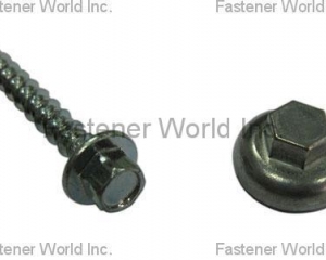 fastener-world(宸欣企業有限公司 )