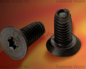 fastener-world(HOMN REEN ENTERPRISE CO., LTD.  )