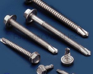 Stainless Steel Screw(HOMN REEN ENTERPRISE CO., LTD. )