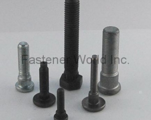 fastener-world(SAN SHING FASTECH CORP.  )