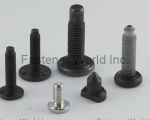 fastener-world(SAN SHING FASTECH CORP.  )