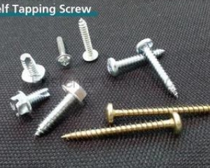 Self Tapping Screw(曜維貿易有限公司)