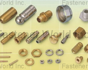 fastener-world(JIN SHIN CHYUAN INDUSTRY CO., LTD.  )