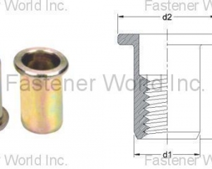 Anchor-Nut: Open end type-Flat Head(NINGBO ANCHOR FASTENERS INDUSTRIAL CO., LTD. )