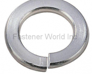 Spring Lock Washer (RAY FU ENTERPRISE CO., LTD.)