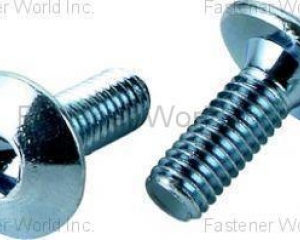 Dome Screw(ZYH YIN ENT. CO., LTD. )