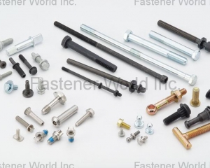 fastener-world(Strong Johnny International Co., Ltd )
