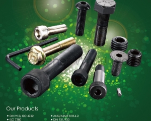 fastener-world(MAUDLE INDUSTRIAL CO., LTD.  )