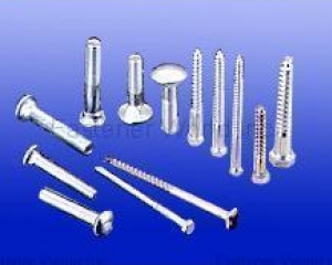 fastener-world(WAYNETEL INDUSTRIAL CO., LTD.  )