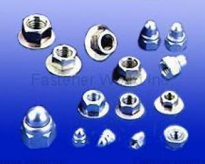 fastener-world(WAYNETEL INDUSTRIAL CO., LTD.  )