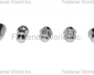 fastener-world(ZHANGJIANGANG CITY XINYI HARDWARE CO., LTD )
