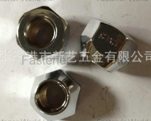 fastener-world(ZHANGJIANGANG CITY XINYI HARDWARE CO., LTD )