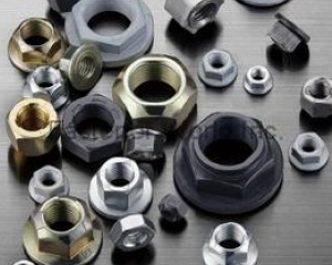 Lock Nuts(AUTOLINK INTERNATIONAL CO., LTD.)