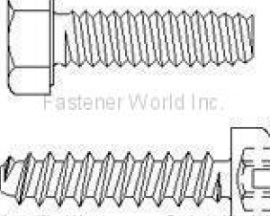fastener-world(SE FA ENTERPRISE CO., LTD. )