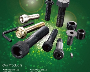 fastener-world(MAUDLE INDUSTRIAL CO., LTD.  )