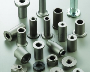 automotive parts(DA YANG SPECIAL NUTS)