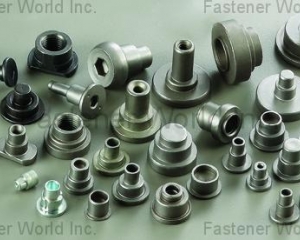 fastener-world(DA YANG SPECIAL NUTS )