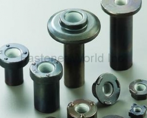 NYLOK COATED PARTS(DA YANG SPECIAL NUTS)