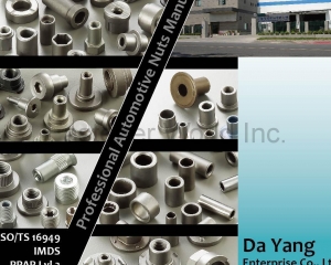 Automotive Nuts(DA YANG SPECIAL NUTS)