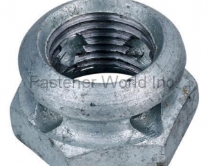 Special Nut(JINGLE-TECH FASTENERS CO., LTD.)