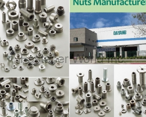 Automotive Nuts(DA YANG SPECIAL NUTS)