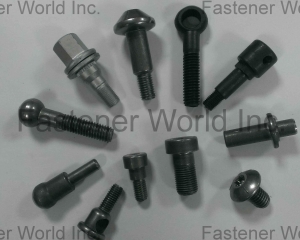 Customized Special Screws / Bolts(HWEI NEN CO., LTD.)