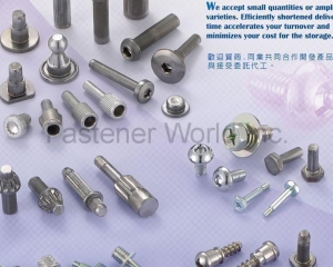 fastener-world(CHENG SHUNN INDUSTRIAL CO., LTD.  )