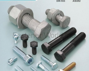 fastener-world(NINGBO JINDING FASTENING PIECE CO., LTD )