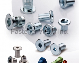 Special L-Shaped Hex Wrenches, Hollow Rivets, Hex-Head Screws, Various Other Kinds of Screws(CHIEH LING SCREWS ENTERPRISE CO., LTD.)