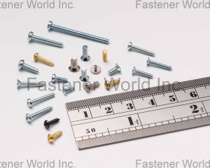 MICRO SCREWS, SMALL SCREWS(FALCON FASTENER CO., LTD. )