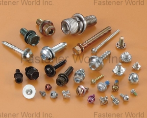 SEMS - Assembled with all kinds of Washers(ABS METAL INDUSTRY CORP. )