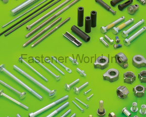 fastener-world(E CHAIN INDUSTRIAL CO., LTD  )