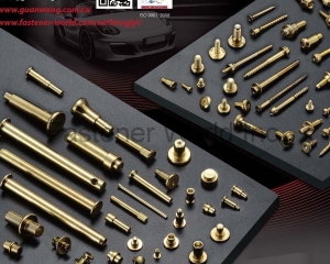 Semi-tubular Rivet, Shoulder Rivet, Hollow Rivet, Solid Rivet, Rivet Nut, Special Rivet, Multi-stage Screw, Dowel Pin(GUAN WANG SCREW INDUSTRIAL CO., LTD.)