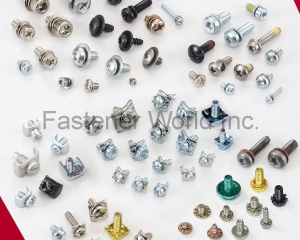 fastener-world(ZHIBEN SCREW CO., LTD  )