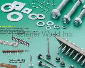 fastener-world(TG CO., LTD.  )