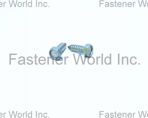 fastener-world(TONG HO SHING INTERNATIONAL CO., LTD. )