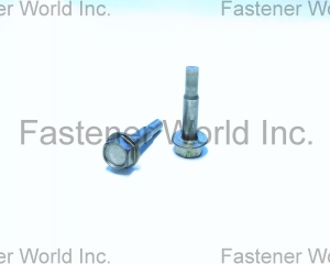 fastener-world(TONG HO SHING INTERNATIONAL CO., LTD. )