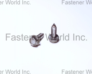 Hex self tapping screw(桐和兴实业有限公司)